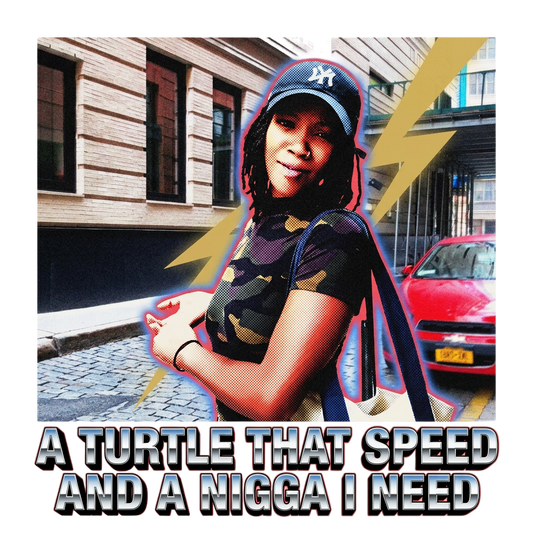 A turtle that speed and a nigga I need