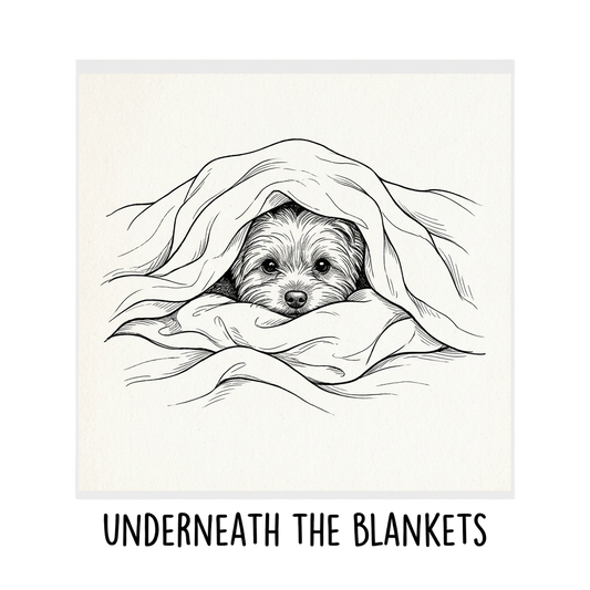 UNDERNEATH THE BLANKETS