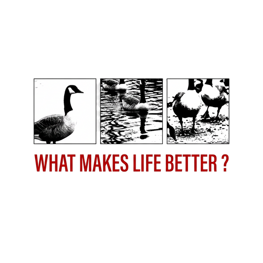 What Makes Life Better