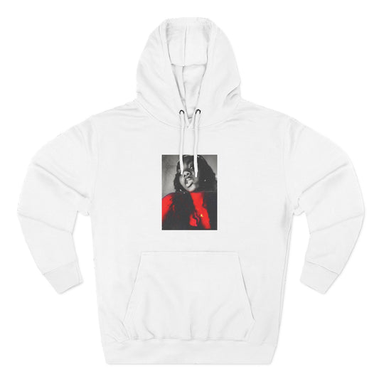 Three-Panel Fleece Hoodie