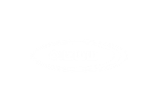 Sheshtous Logo White