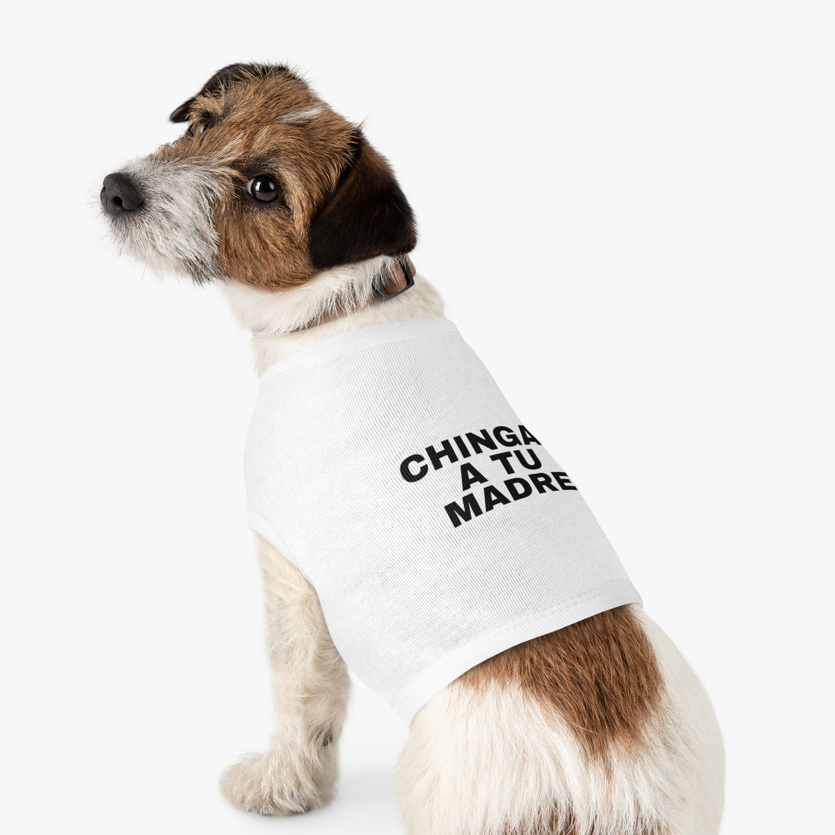 Chingas A Tu Madre
