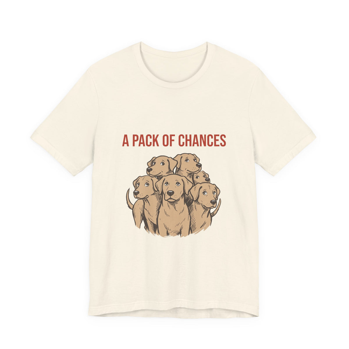 A Pack of Chances