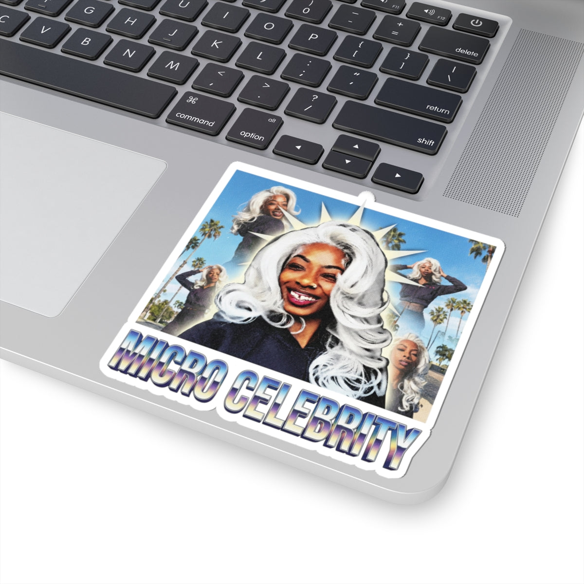 MICRO CELEBRITY