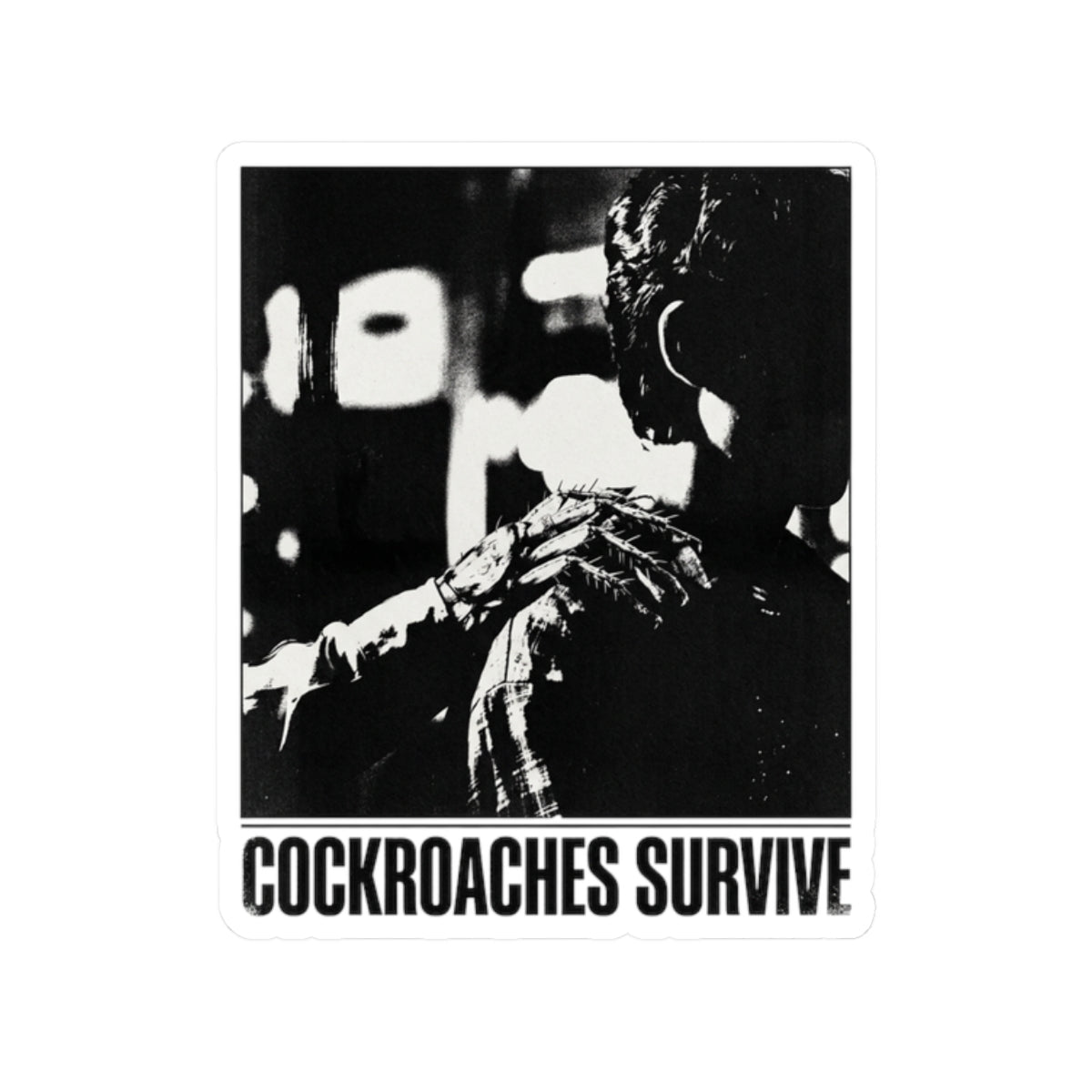 Cockroaches Survive