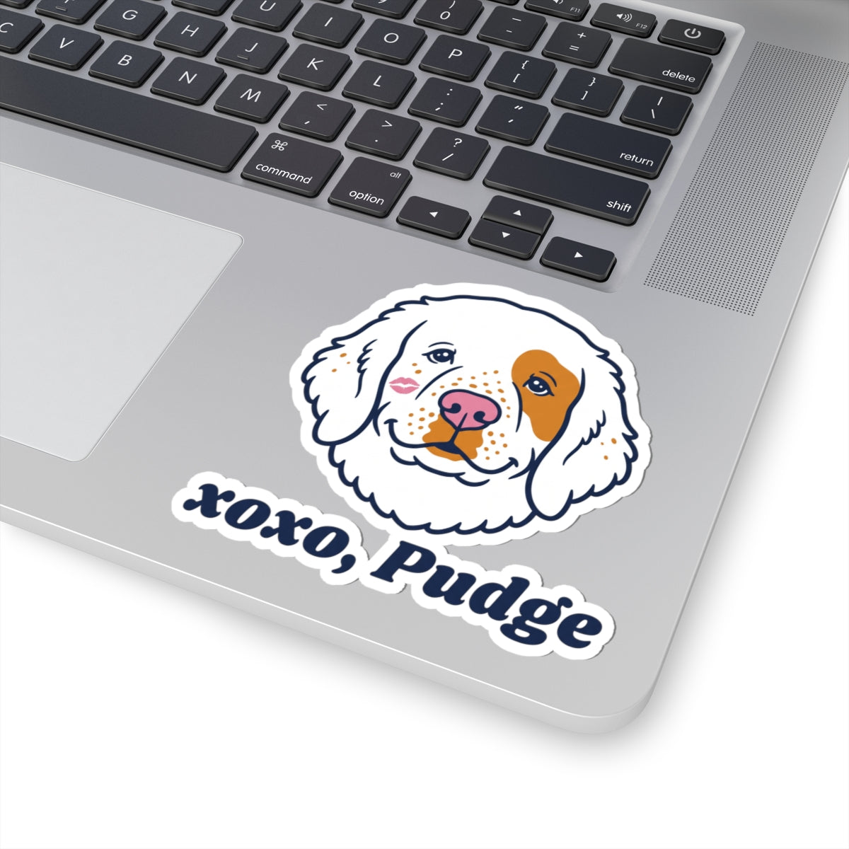 xoxo, Pudge