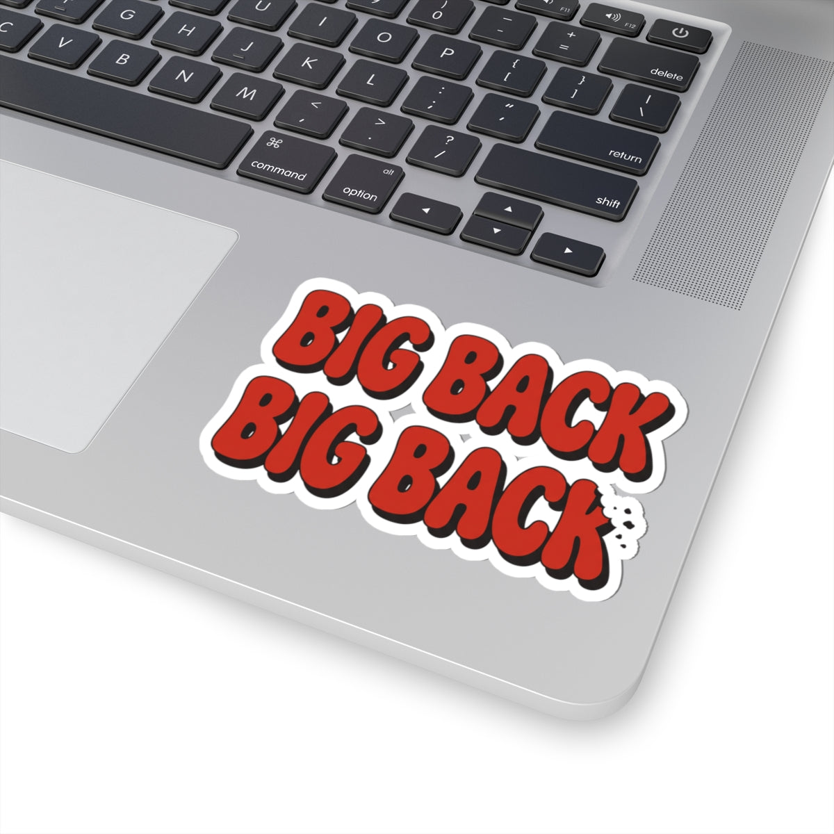 Big Back Big Back