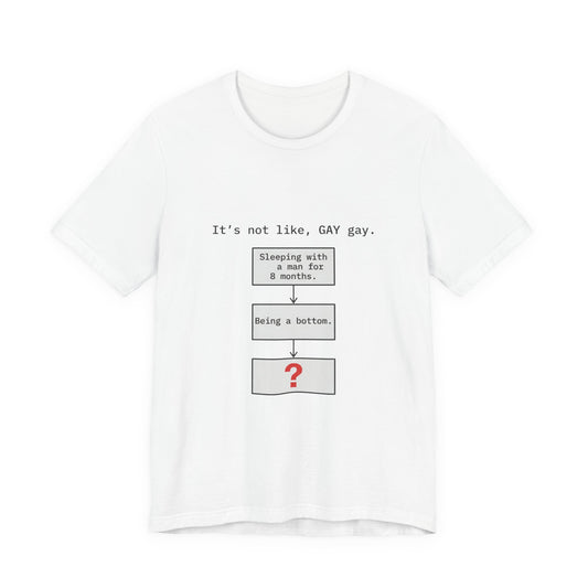 Not Gay Gay Flowchart