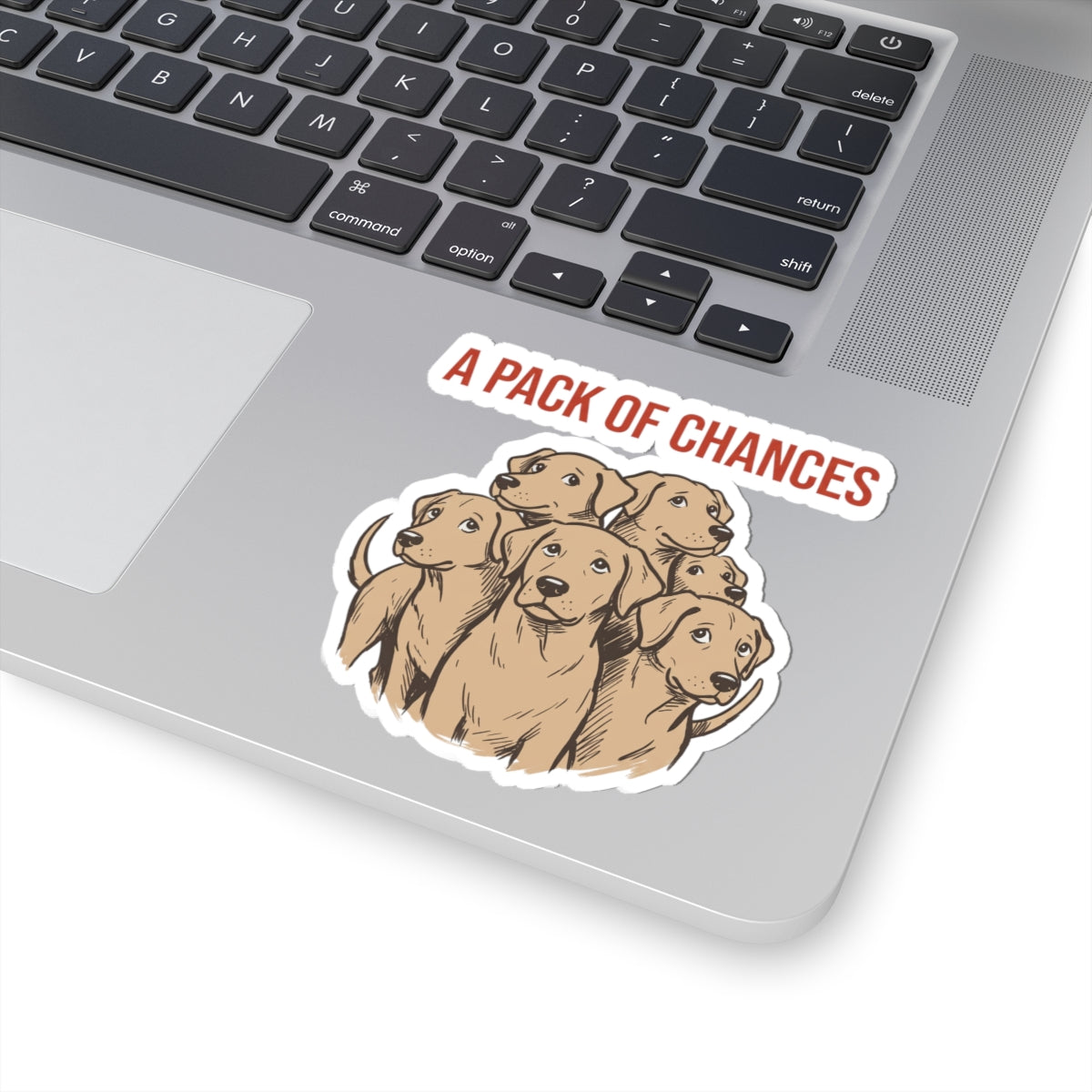 A Pack of Chances