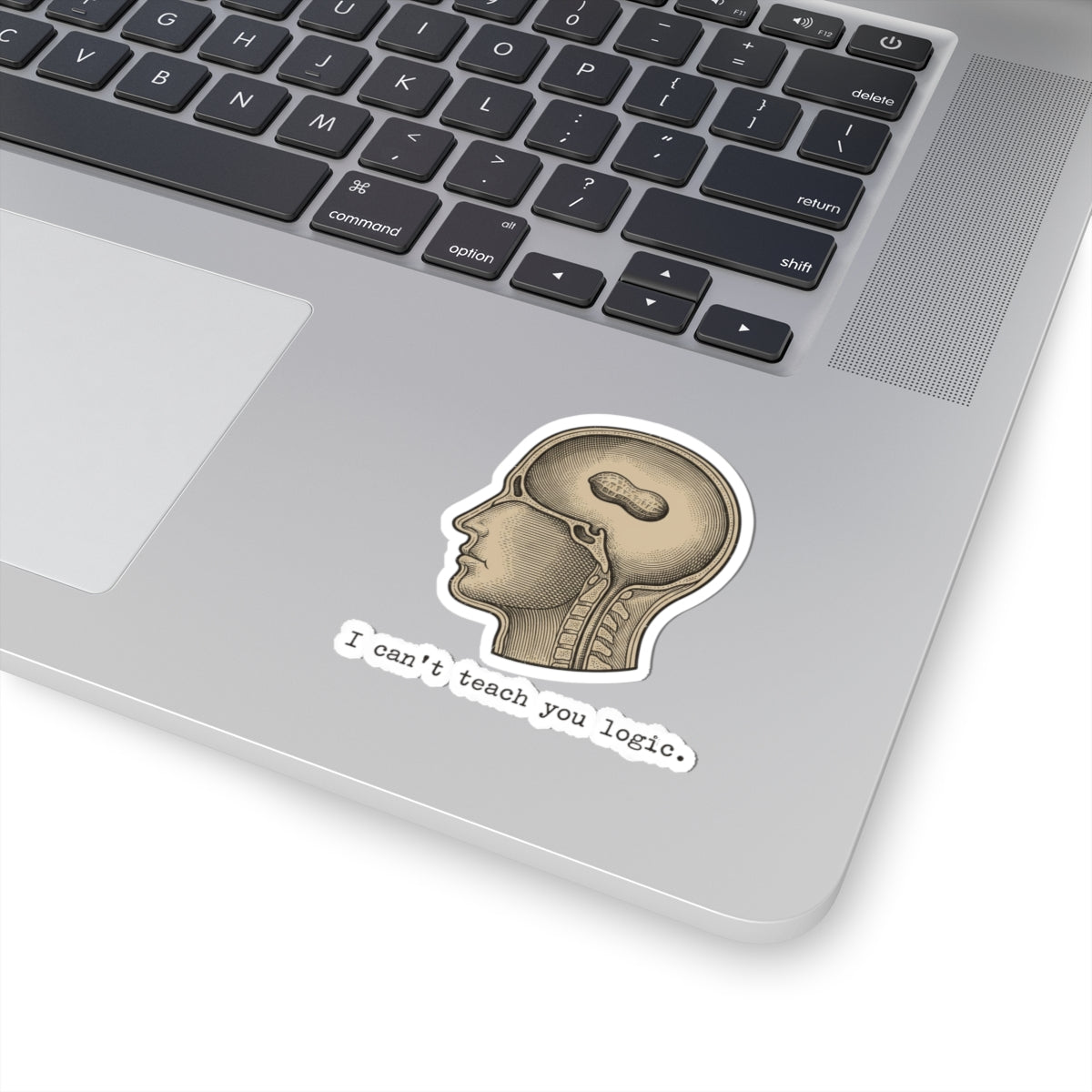 Peanut Brain Diagram