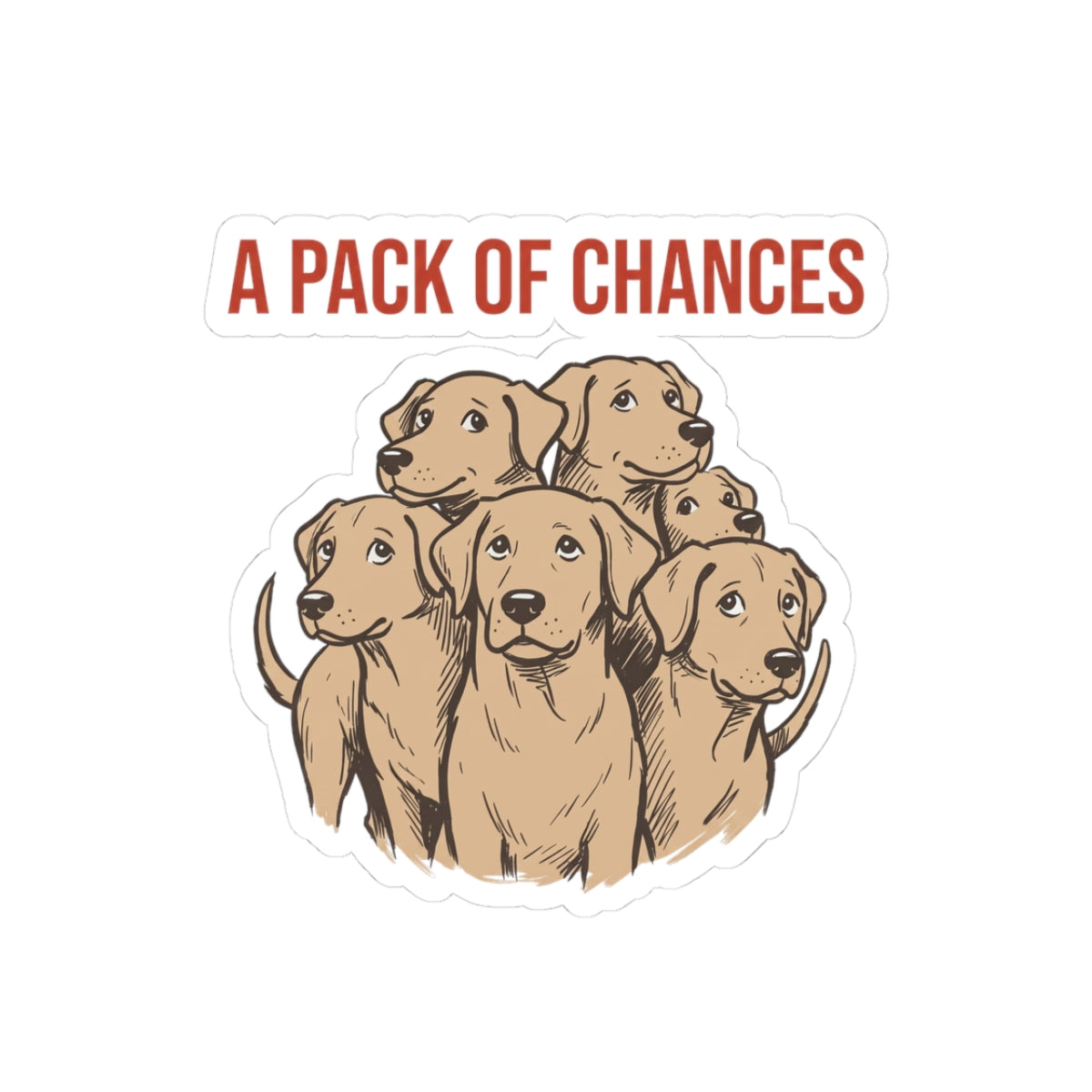 A Pack of Chances