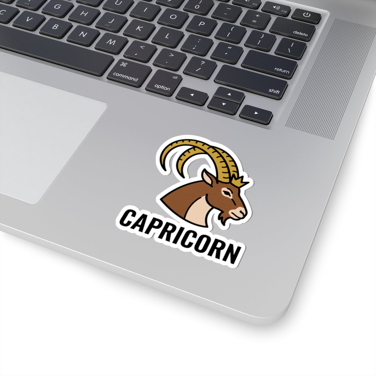 Capricorn