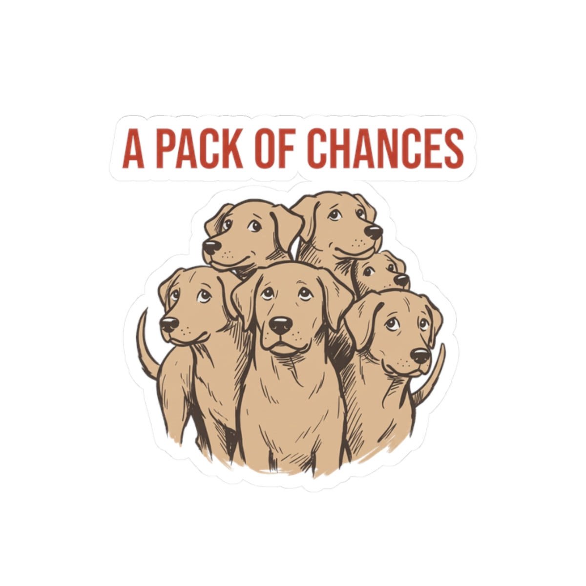 A Pack of Chances