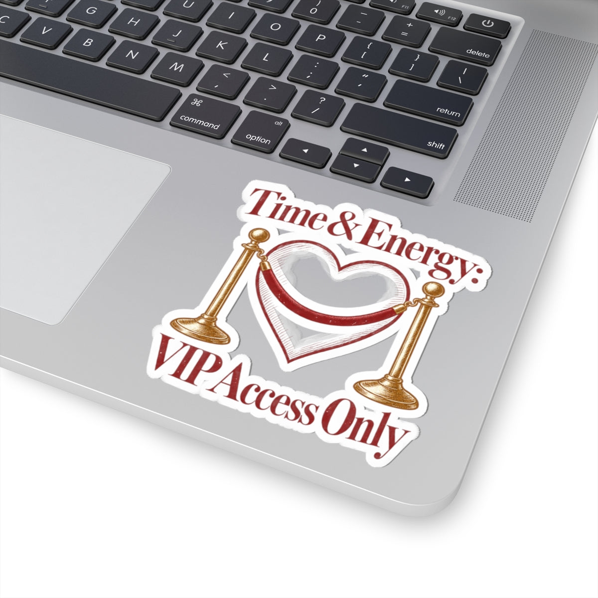 VIP Access Only