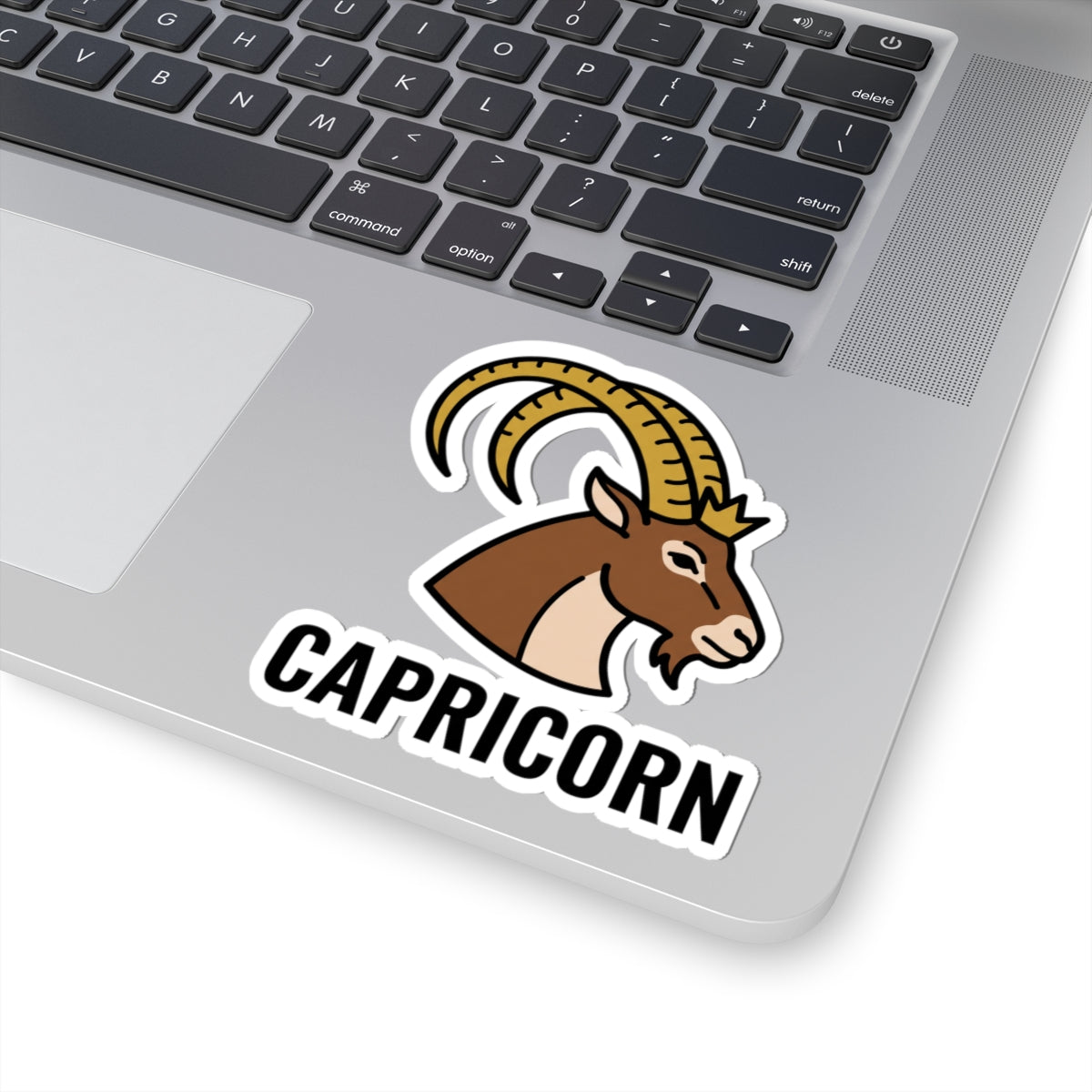 Capricorn