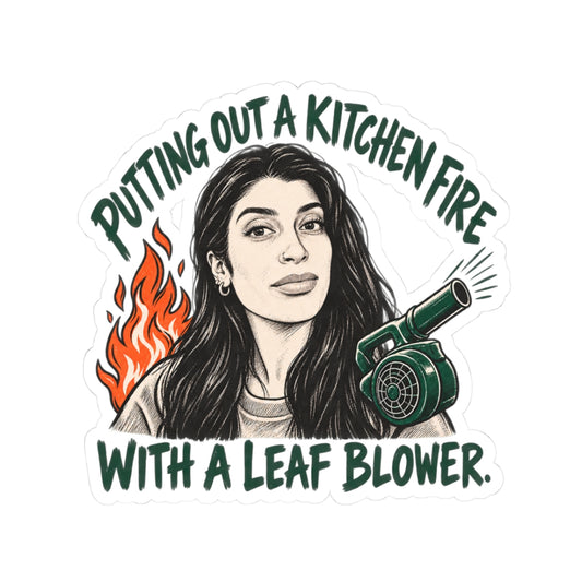 Kitchen Fire with a Leaf Blower