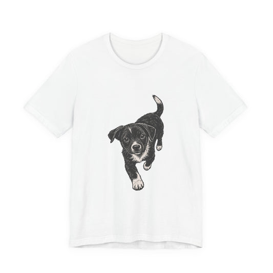 Puppy Running for Help