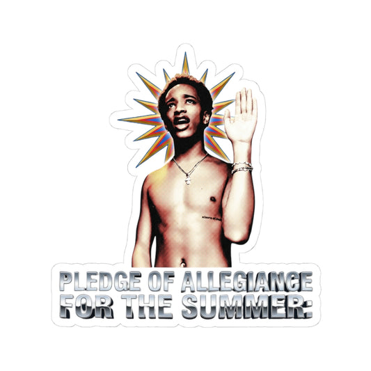 Pledge of allegiance for the summer:
