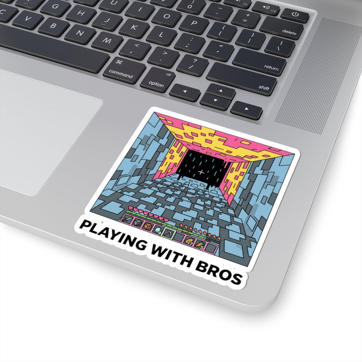 Playing With Bros