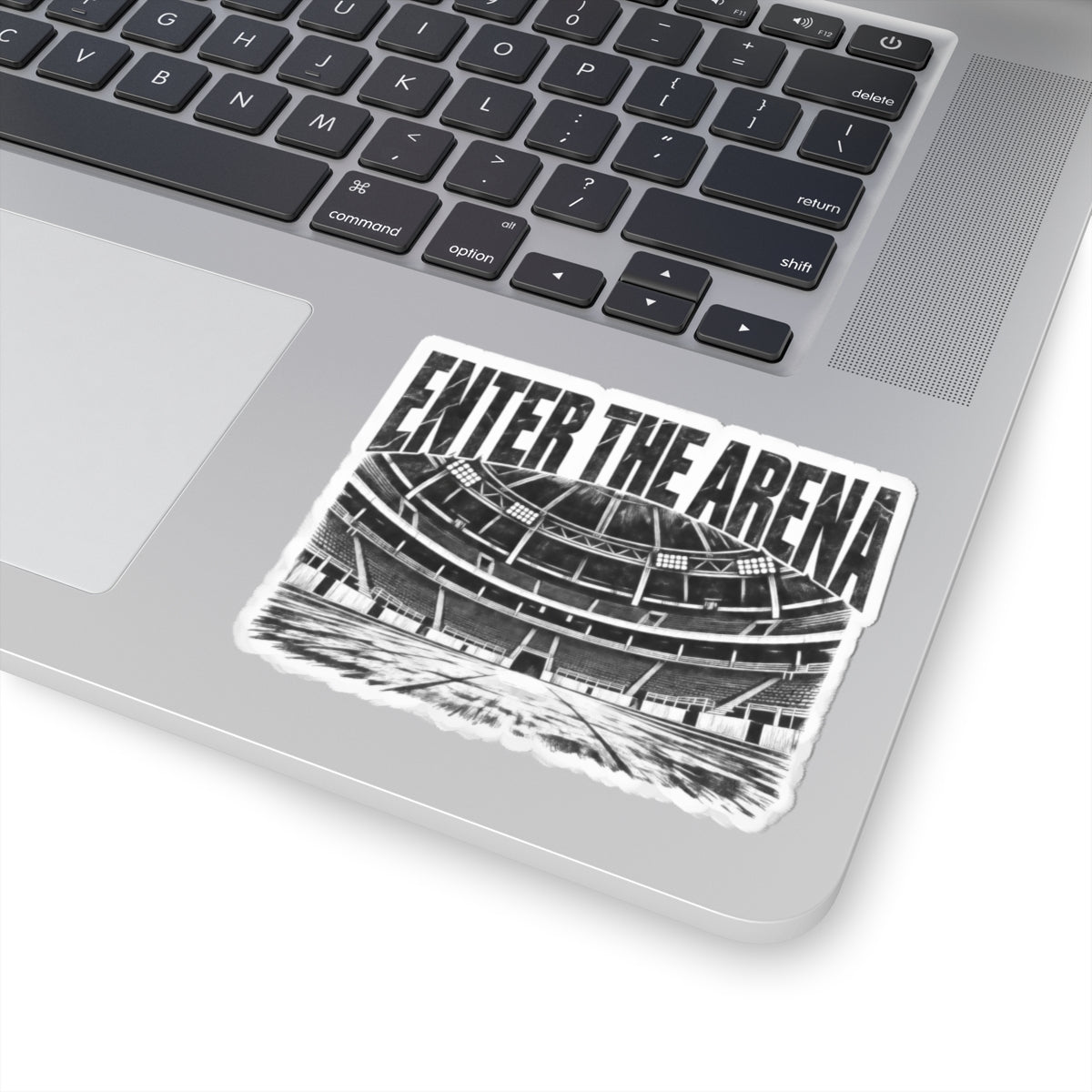Enter The Arena