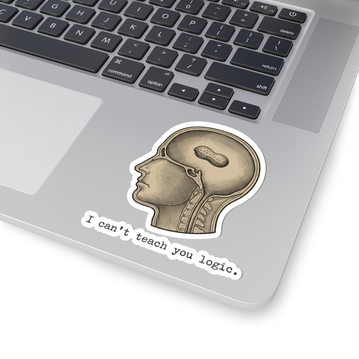Peanut Brain Diagram