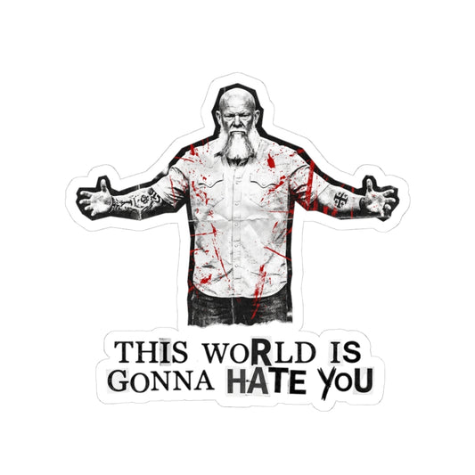 THIS WORLD IS GONNA HATE YOU