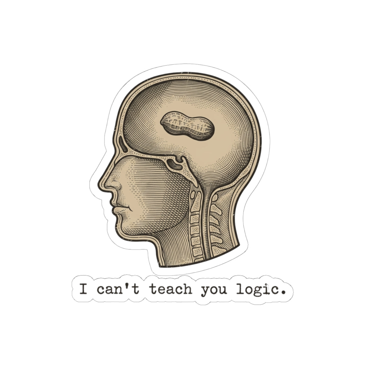 Peanut Brain Diagram