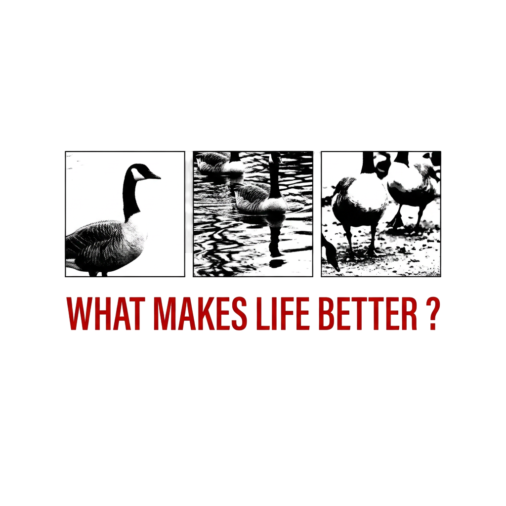 What Makes Life Better