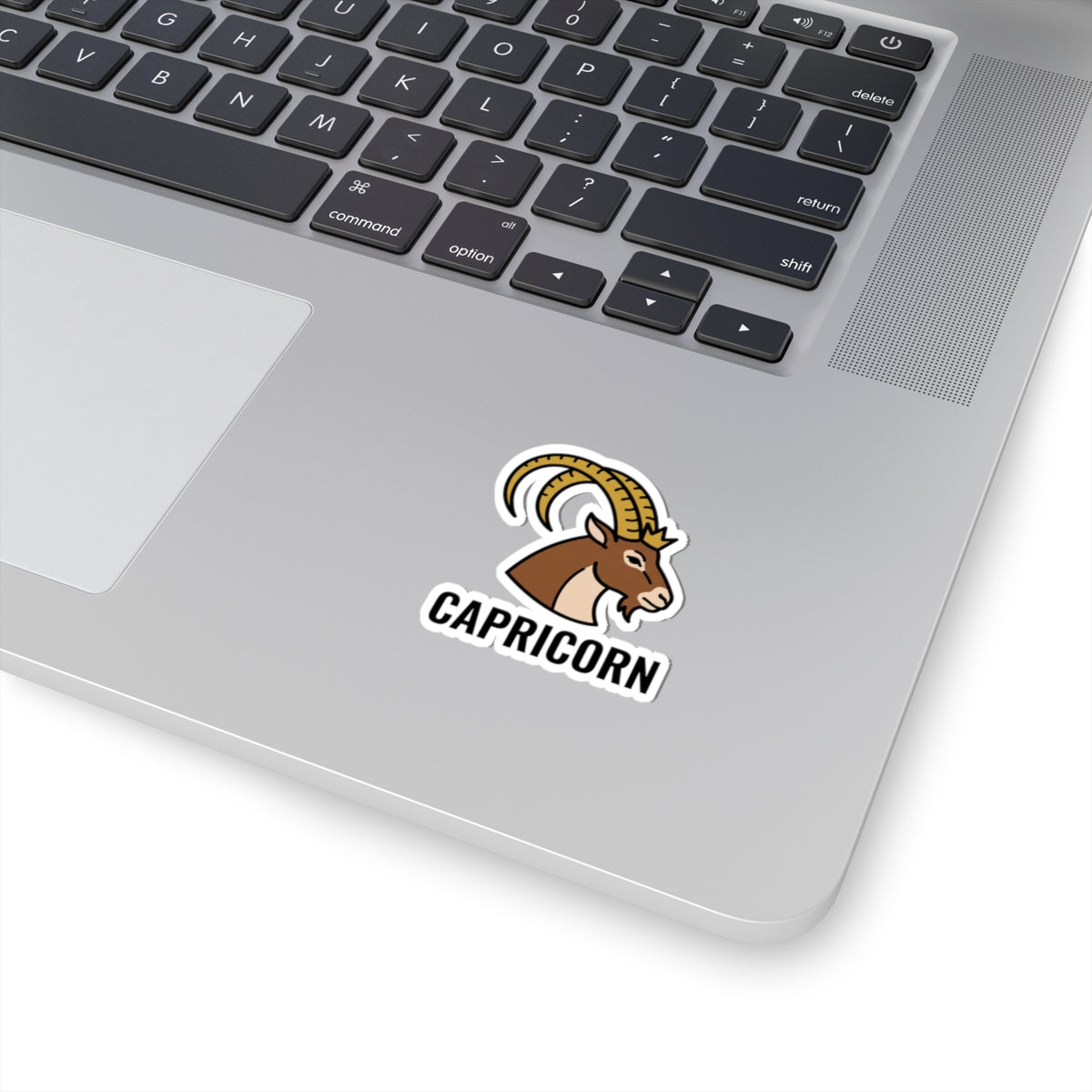 Capricorn